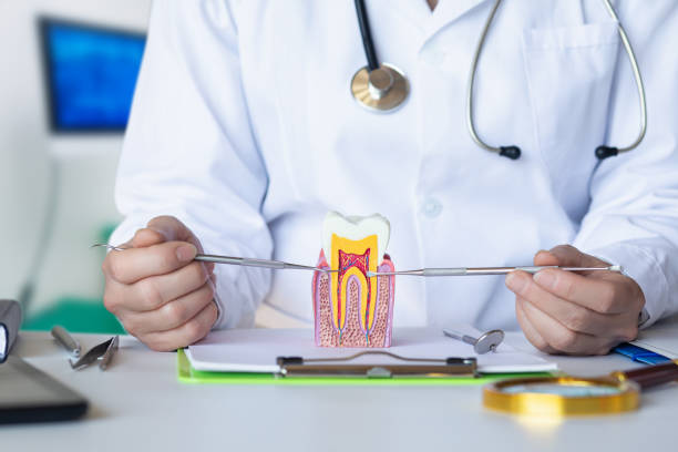 Best Emergency Dental Care for Sports Injuries in Horse Shoe, NC